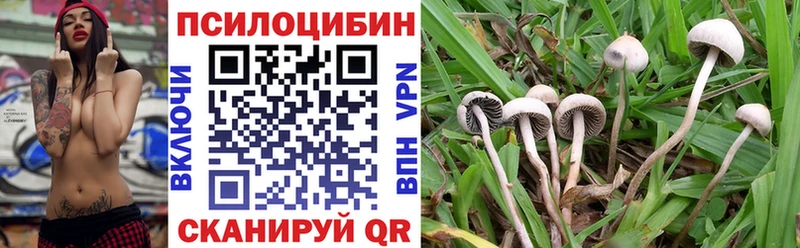 Псилоцибиновые грибы GOLDEN TEACHER Тетюши