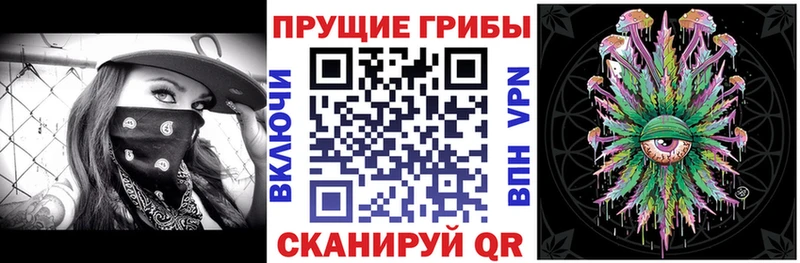 Галлюциногенные грибы GOLDEN TEACHER  закладки  Тетюши 